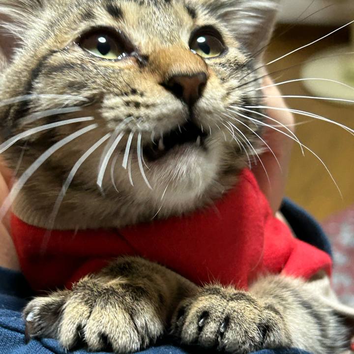 449f4893 8a0b 4ebb 8424 4328c6027a29 1730281612131