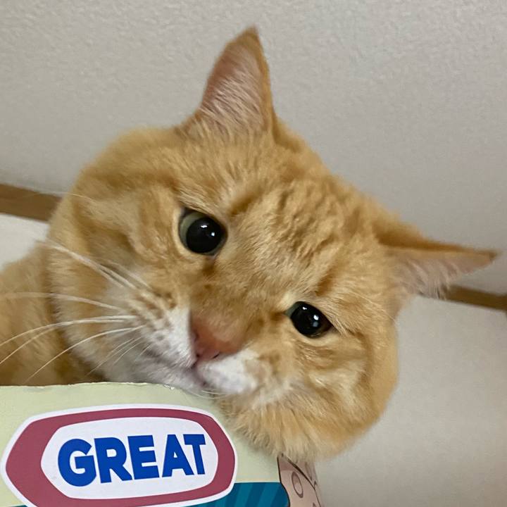 449f8211 dd6e 4632 866e 863a3cd818b6 1648274553306