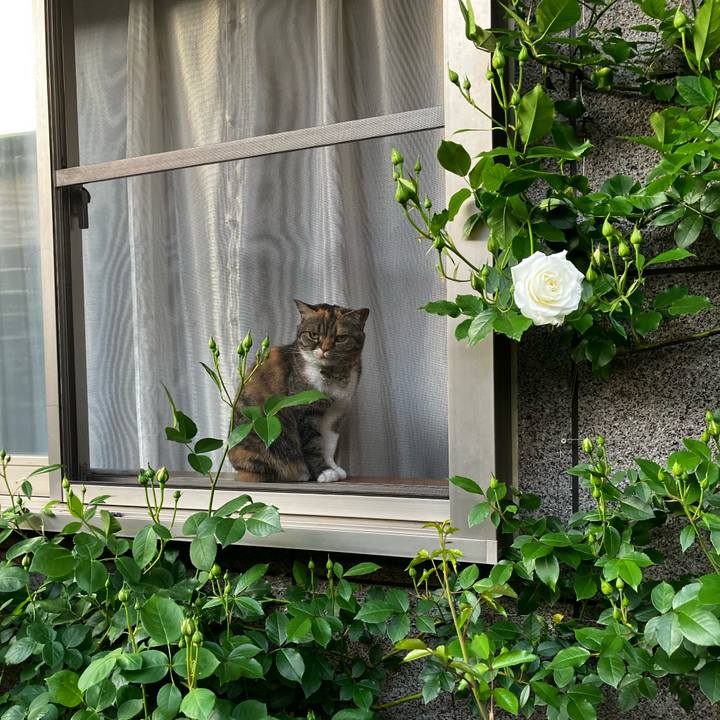 449fbb98 4731 4c99 864d 439b2895f56c 1776673950430