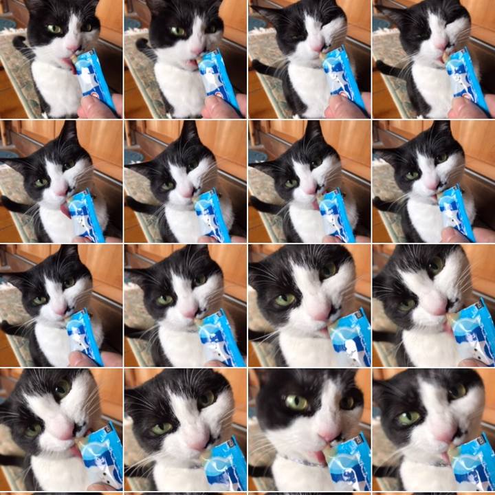 449fbd59 76e8 416b ae0f 62e8a87ba50b 1555156496914