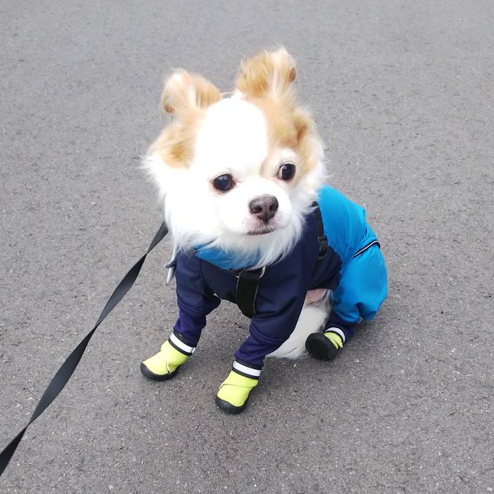 449fd1d7 9d38 48f3 95f3 71b0b961d7b1 1580026550118