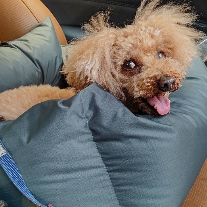 449fe432 3b95 41ad 9d71 11f5a4f0cee2 1623117583593