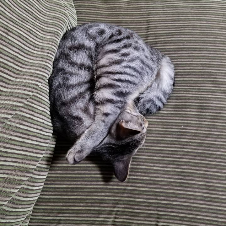 449fe9b4 2550 4fea ad22 53d3e19fd277 1673317100680