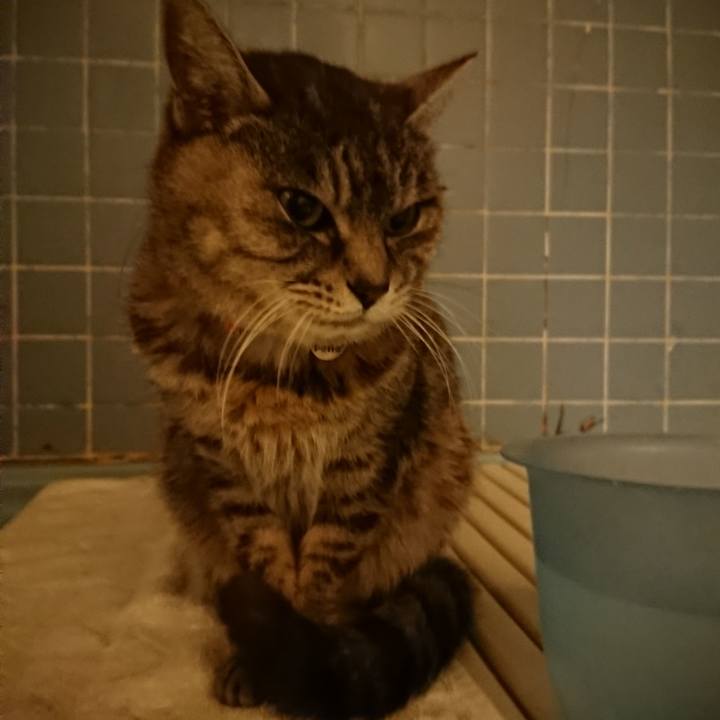 44a003ff d029 4f7d bec8 eb6166456703 1579511593378