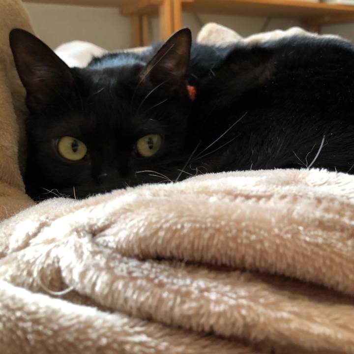 44a03b5f 703b 486a 9ec4 7ff3b7fa2d6b 1553830304033