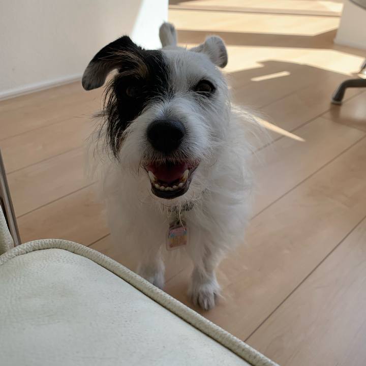 44a04032 5068 4941 bfa2 e7599aa6bdea 1660885099959