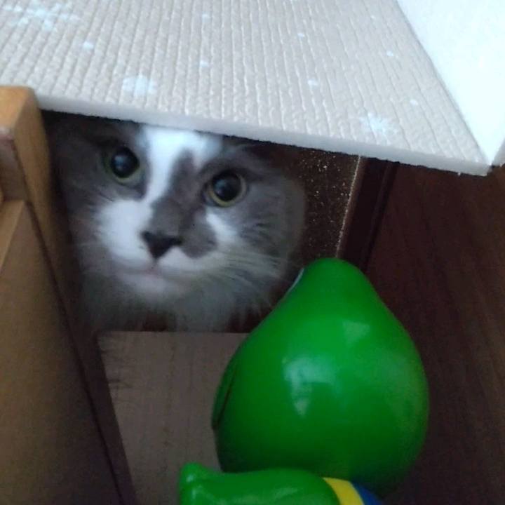 44a0506d c5f0 467f a4ac 5ef9ce7020a8 1700700251501