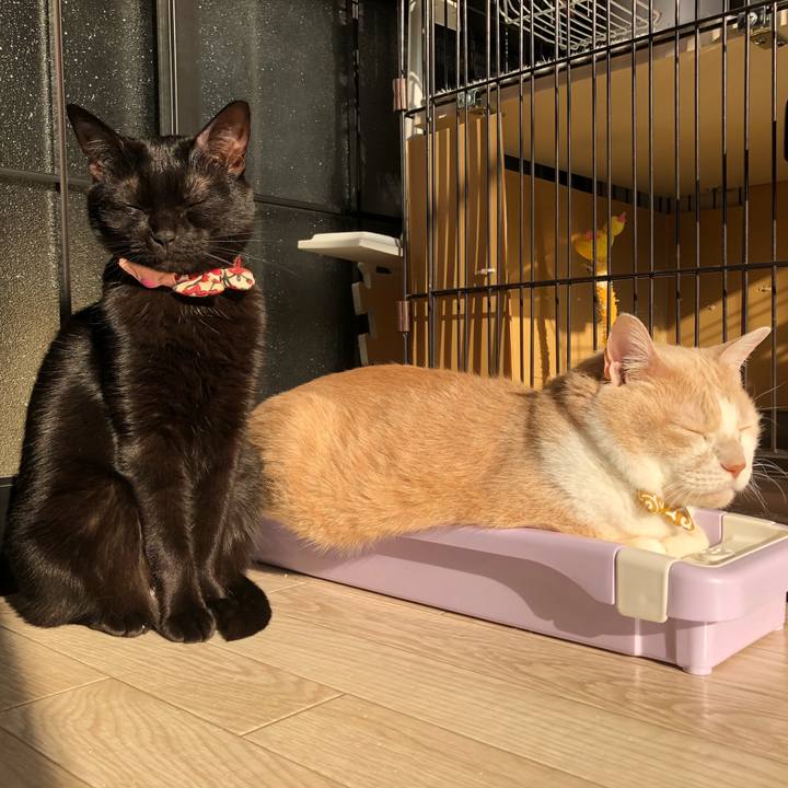 44a06101 574a 4b9f 8afc 5c065137c19f 1584574836288