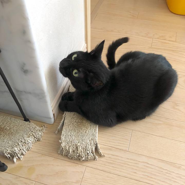 44a0780c da15 4fcb a0b1 312f88f38b9c 1587384638404