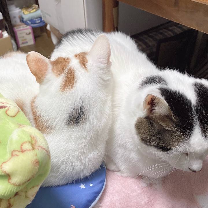 44a084a8 93b5 47f4 b394 43eec3dcee17 1645330556412