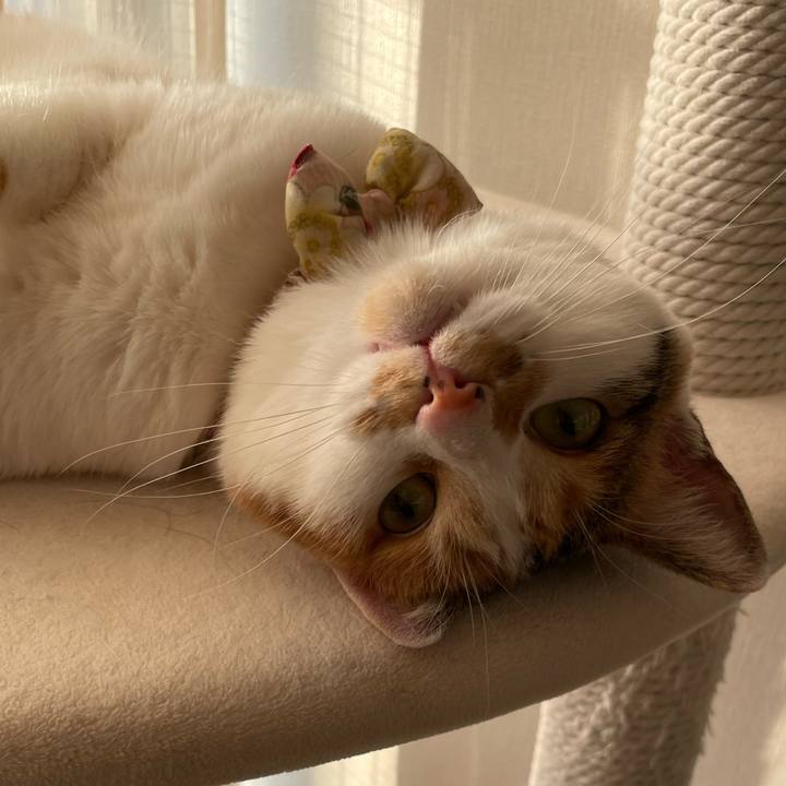 44a0a196 1a2d 4249 89a1 f1ccb9d02bc3 1642317548161