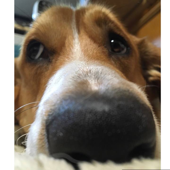 44a0f32e 2b74 4919 9173 eab2fd1fcf34 1609158968867