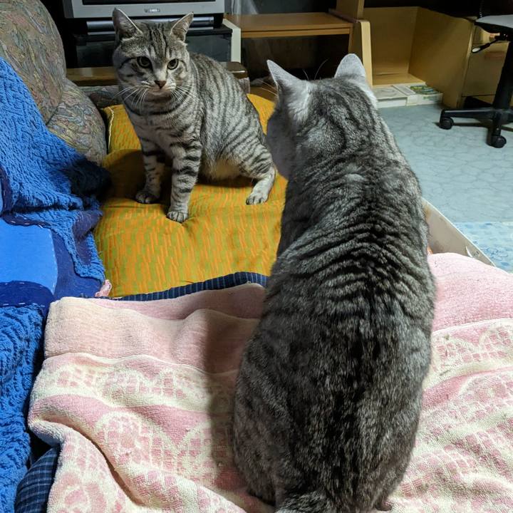 44a10670 f771 4b9b b1dc db568ac90d1d 1701877104631