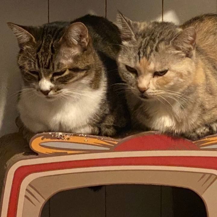 44a12503 d3fc 4048 a7ce 7e54ff2a643c 1635024017197