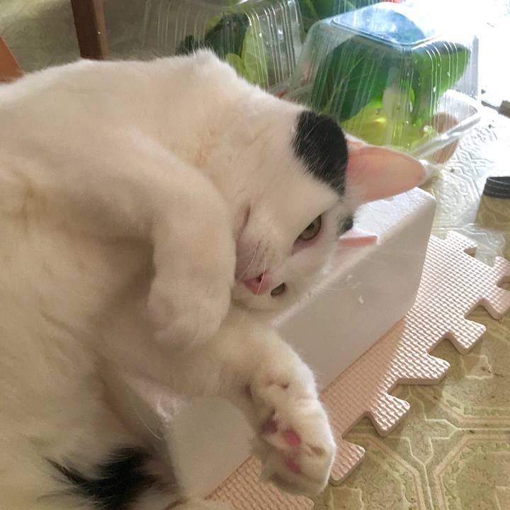 44a13bf3 8541 4b07 a902 f0b9305f3727 1580982608976