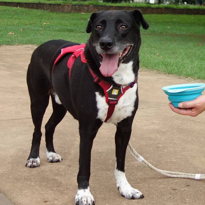 44a17985 6ea9 4986 b038 e05e0c7f7ef5 1660693368148