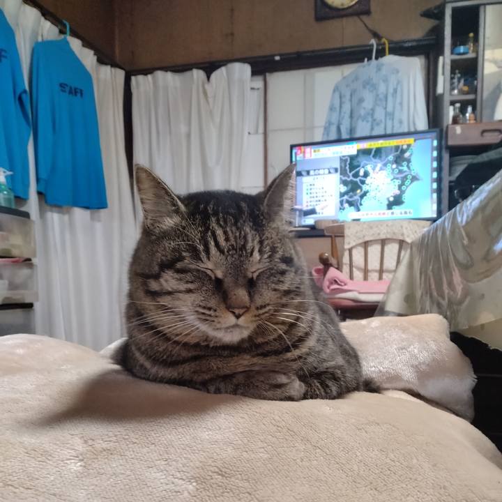 44a17e1c a108 4a00 b267 b7324986a0d7 1709011392432