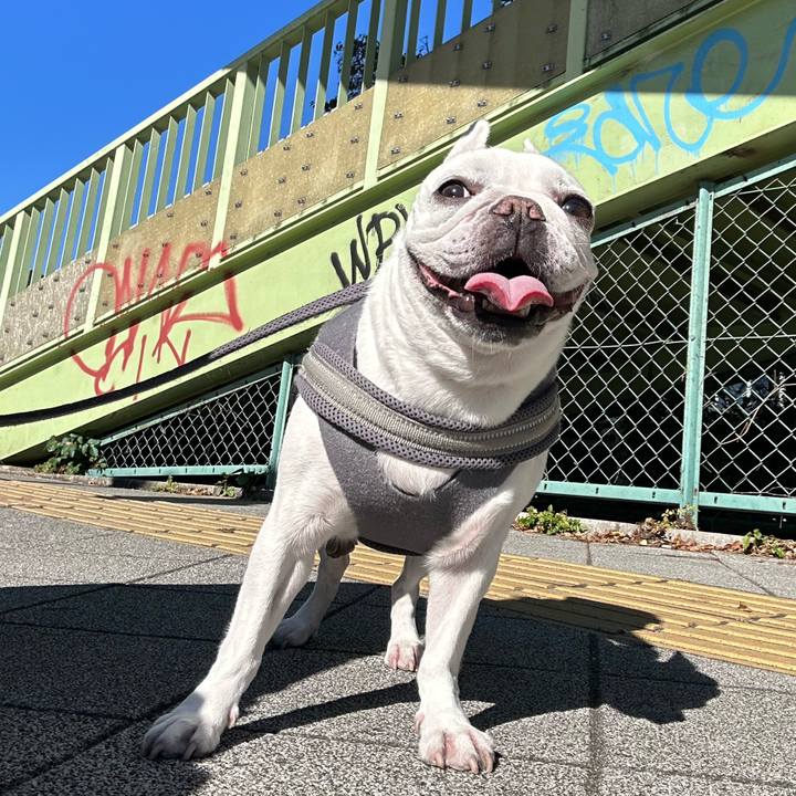 44a1849e 9546 4c99 9a23 1ce8a3003f48 1698719412494