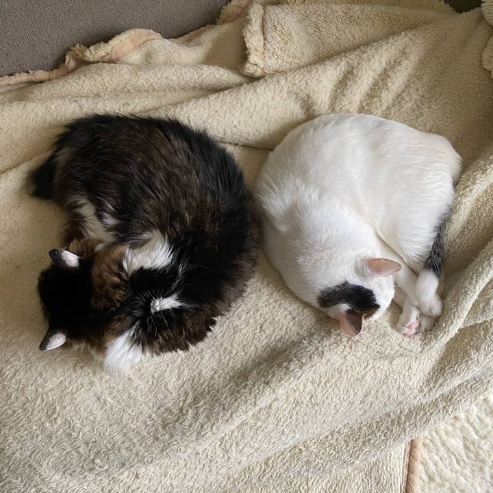 44a19156 46f5 4353 a43d ab888e8f0b26 1667514106424