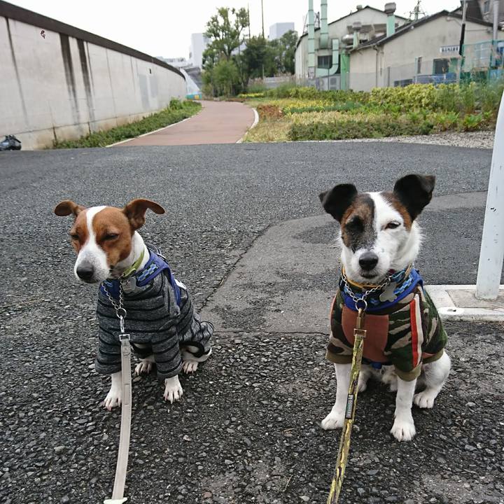 44a19542 15e7 48f0 85eb 78cf2757d2bf 1604365010995