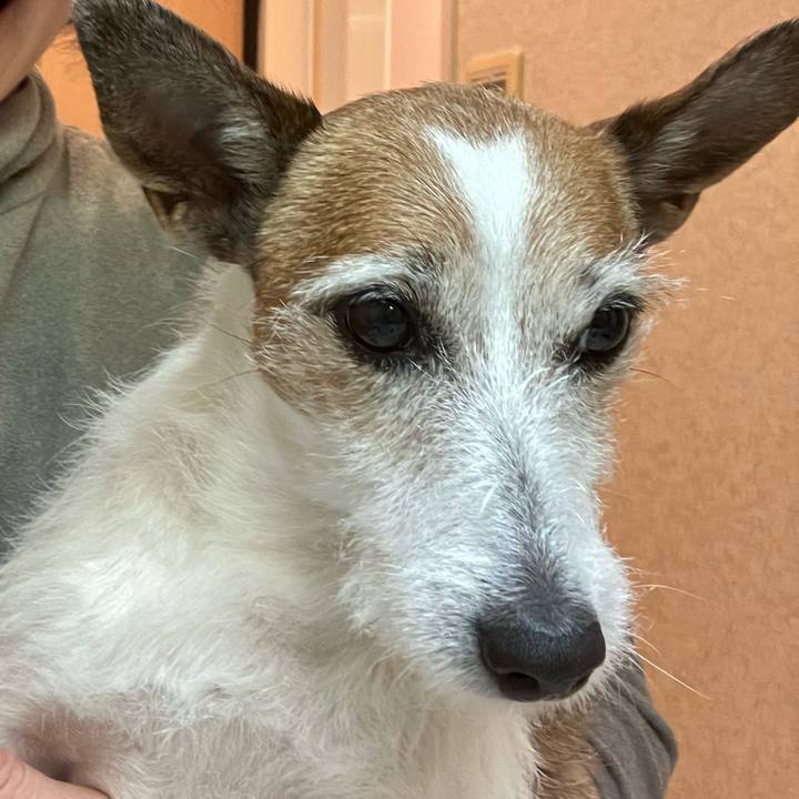 44a1c5cf a0f3 49c8 9315 71f4e45c8f28 1677286872122