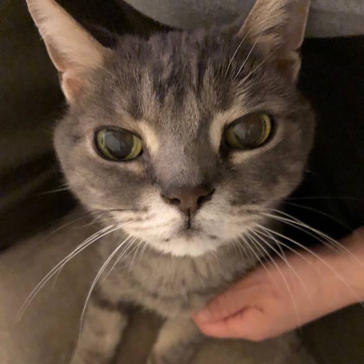 44a1e6e4 597e 4acc 9248 fdf027b50040 1551181942826