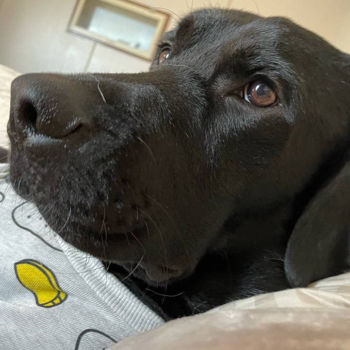 44a1f01e 915d 4ebc af89 16eb99bd6fd9 1635983045052