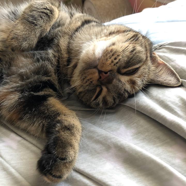 44a200d5 cd3a 4546 80c6 70ff12ab5c24 1601621970097