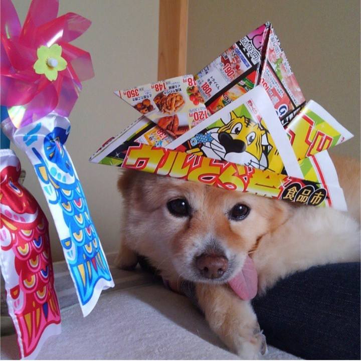 44a202a1 2455 400e a0c5 55cbccf351b4 1525488206862