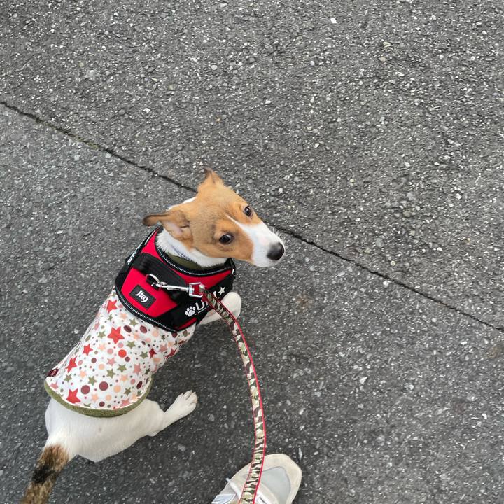 44a25935 4cb7 49f5 9fb6 43120fc1791b 1672231837477