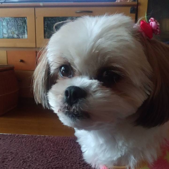 44a25eab 6c41 416b ac57 56ba215beca1 1575608693762