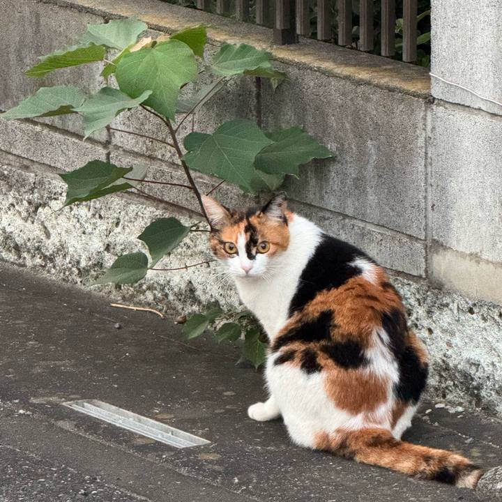 44a2c7a6 d8d9 41e7 ad7b ab3a53d67eb4 1755215921631