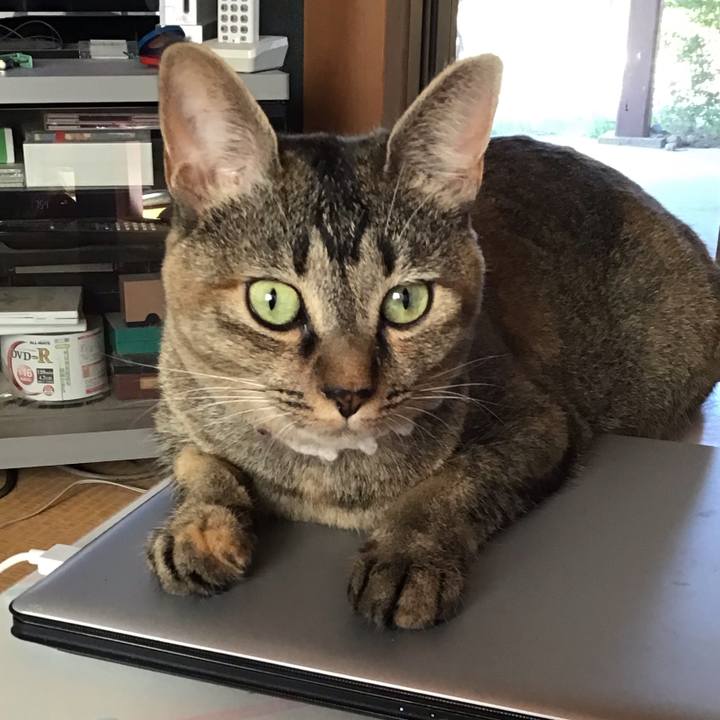 44a2f122 47b3 410b ac20 63be07e21979 1597273217497