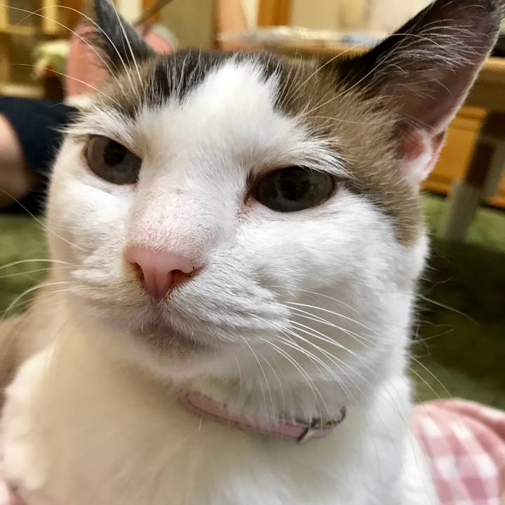 44a32171 912e 4676 bde8 5741f97cf2a0 1538483144736