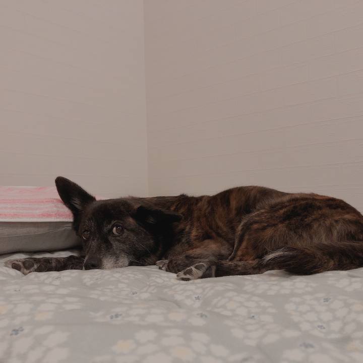 44a35cd4 170b 4e56 b76d b40bb28e6d42 1613490231688