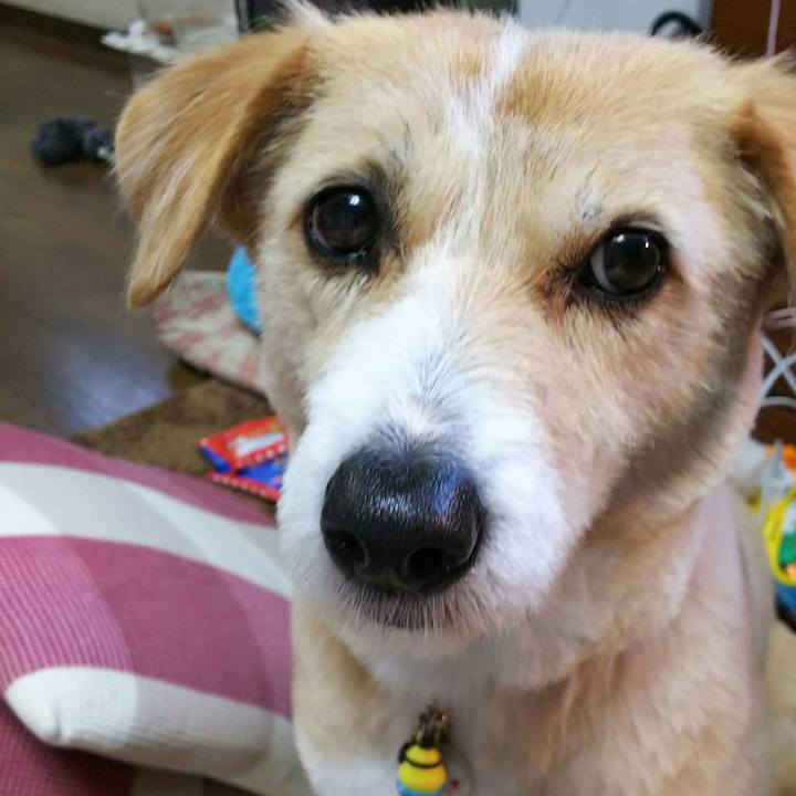 44a3633a 5277 4763 a808 f294b5377044 1520666938924