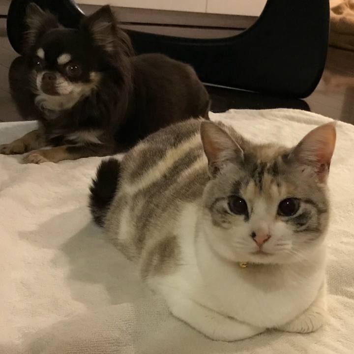 44a36b32 0cc8 4af5 8d7f b61a45791765 1519212937610