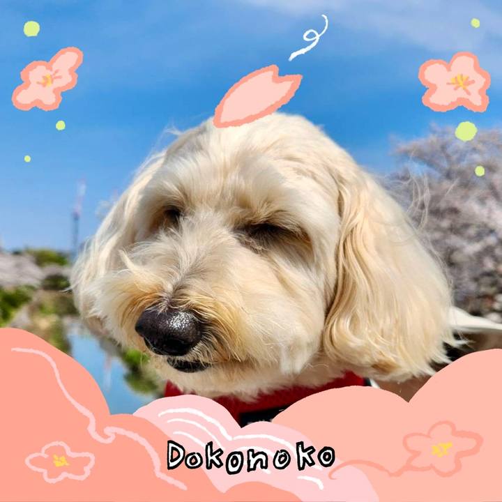 44a36ef6 1188 4baf 8454 d13189b45606 1775198343780