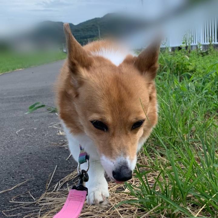 44a38f77 847b 48cf b1e9 baeba9841247 1691792611456