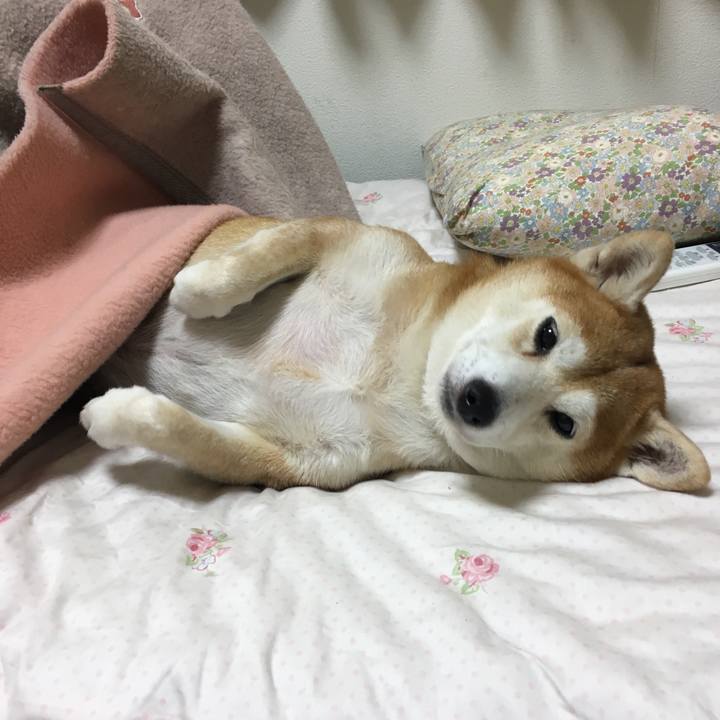 44a3ad8c c32d 4751 9634 77cffaab00d1 1538996815828