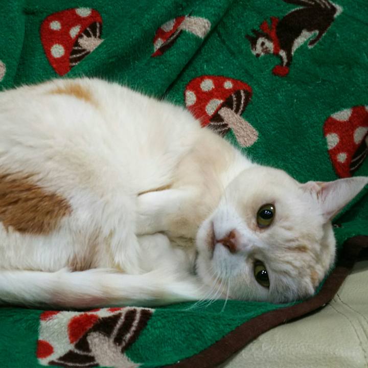 44a407c9 a1cf 4624 8658 d2f7ca95017d 1516972148806