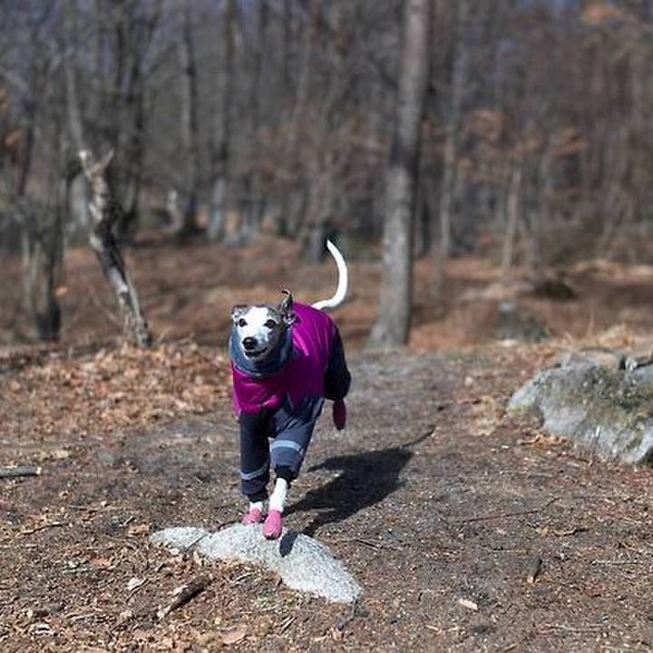 44a42523 189f 4563 9590 af8650b9a71f 1521554868468