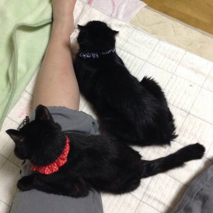 44a4263f 0f2e 42f8 a36f 898d3b997a73 1570049437395