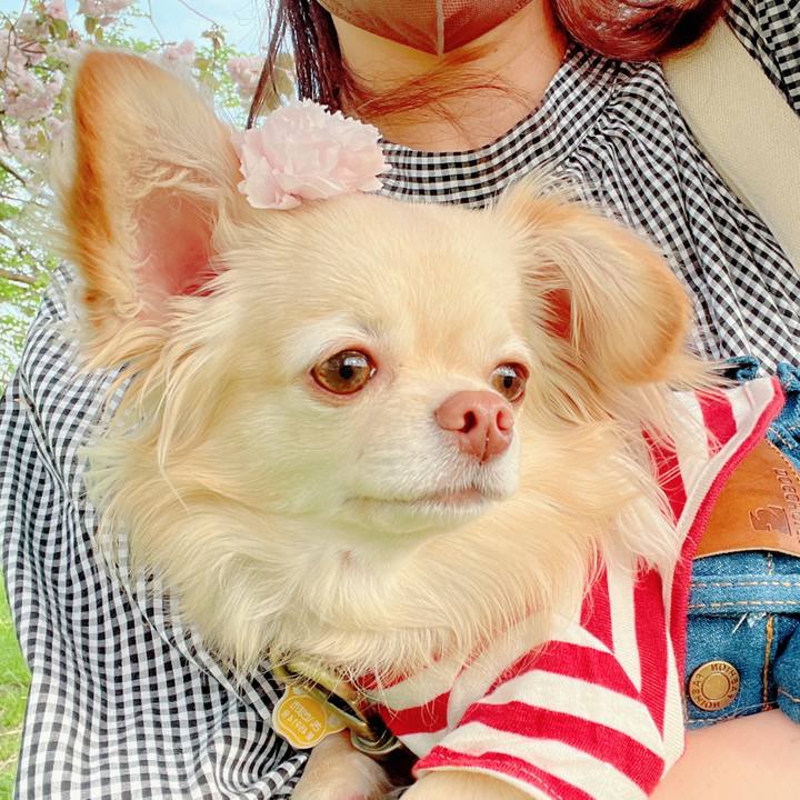 44a4297d 999b 4642 a311 bbb54504808a 1649853314562