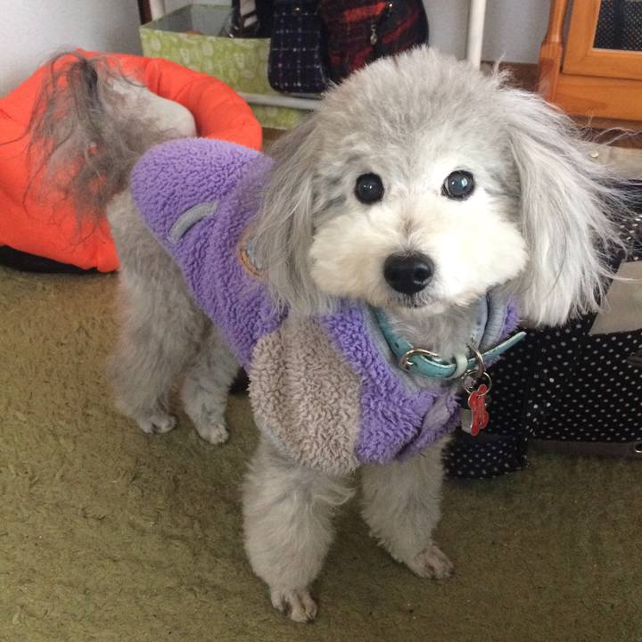 44a44867 46d9 4cb1 af32 bdc38833d3d3 1516058652164