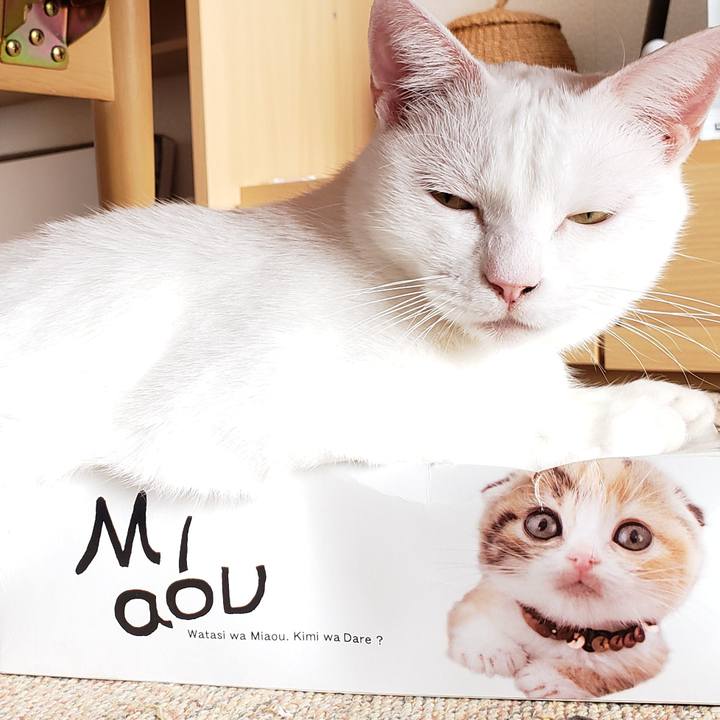 44a44db0 5c5d 4885 9fe7 99ae67f749d0 1579666865527