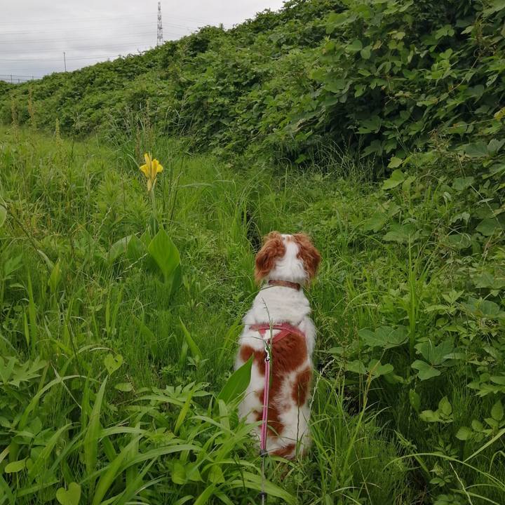 44a47385 7157 4abb a73a 19d3f720d4f7 1625302736284