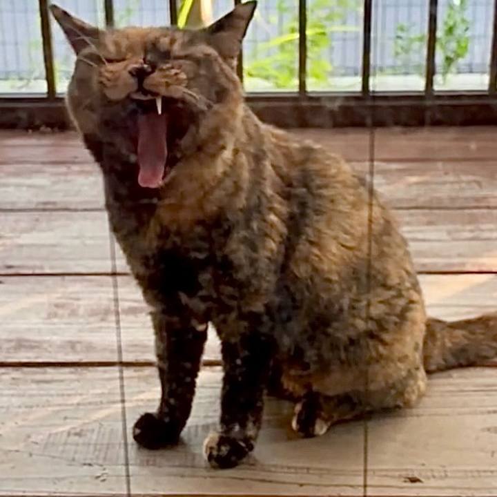 44a49058 0a16 4050 a4a4 08237b414240 1757861639807