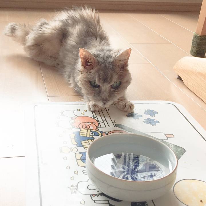 44a4b7d1 824c 44b3 bebc be36f483cda9 1592103951339