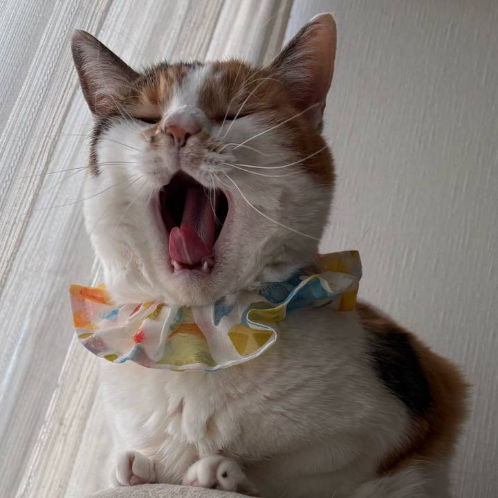 44a4ff09 8faf 49ca aeab 72fcf9d41a0f 1772870090768